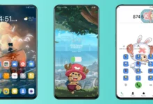 One Piece CHOPPER EMUI Theme