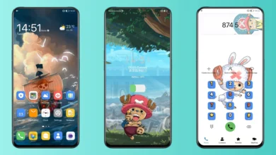One Piece CHOPPER EMUI Theme