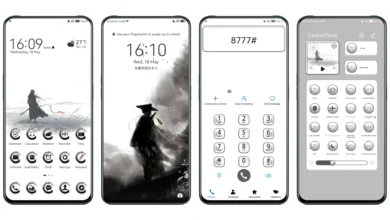 Swordsman EMUI Theme