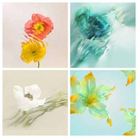 Honor 70 Stock Wallpapers