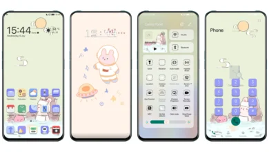 Cute Bear v14 EMUI Theme