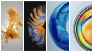 Huawei Mate 50 Wallpapers
