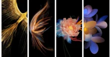Honor Magic VS Wallpaper