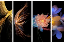 Honor Magic VS Wallpaper