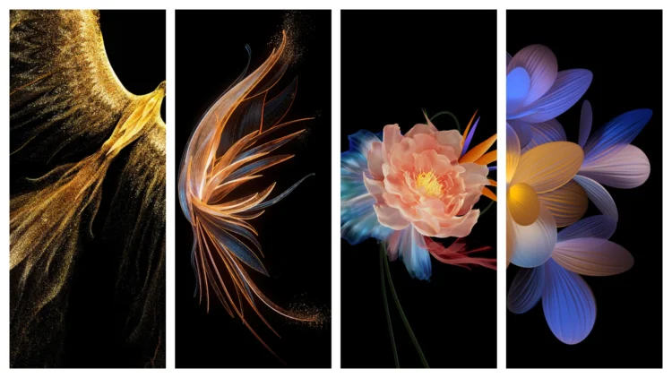 Honor Magic VS Wallpaper