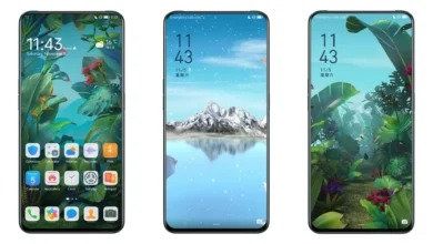 Secret Jungle EMUI Theme